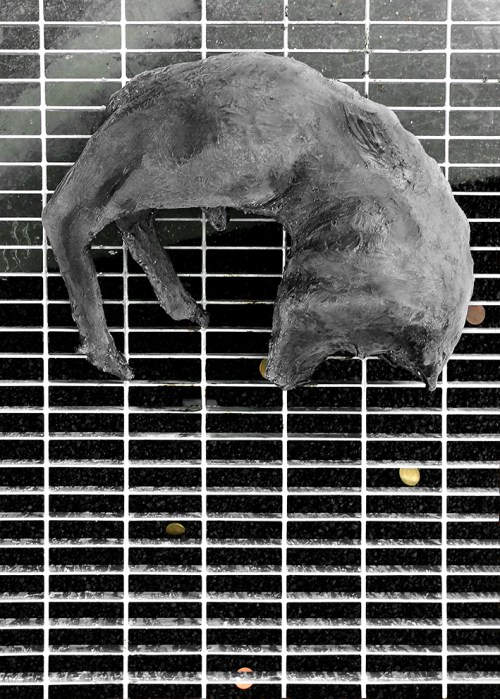 De Stefani - dry landscape T2Bdet02