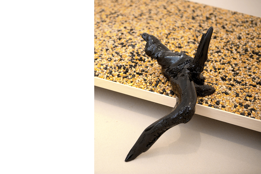 De Stefani - Longboard Aiuola