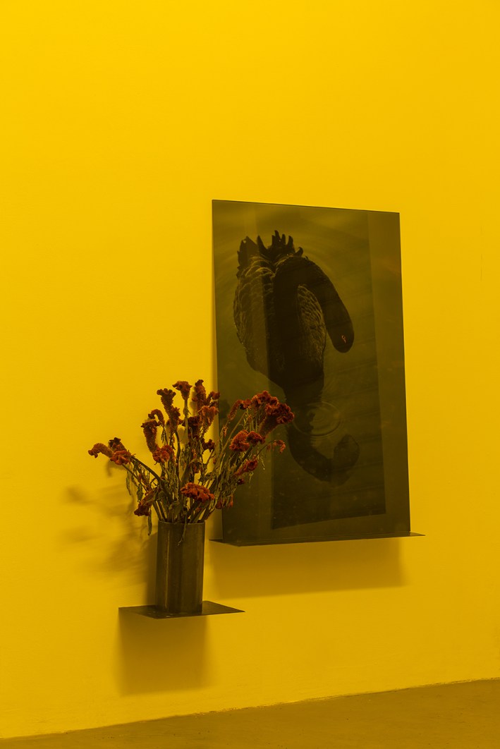 Andrea De Stefani - Nocturama