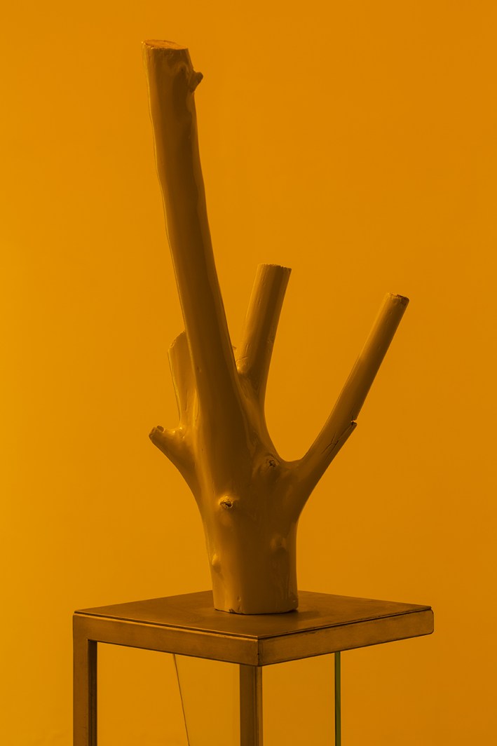 Andrea De Stefani - Nocturama