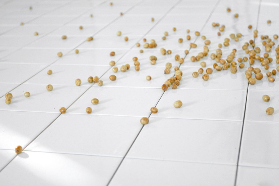 De Stefani - Longboard Aiuola