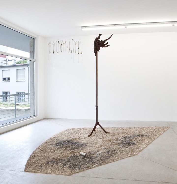 De Stefani - Polygonal Lasso