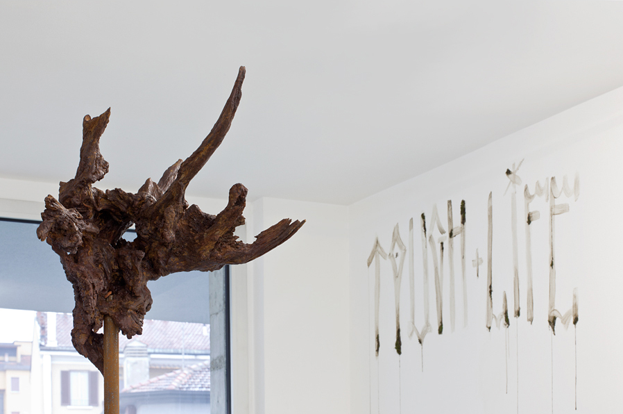 De Stefani - Polygonal Lasso